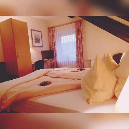 Klinger Hotel 3*