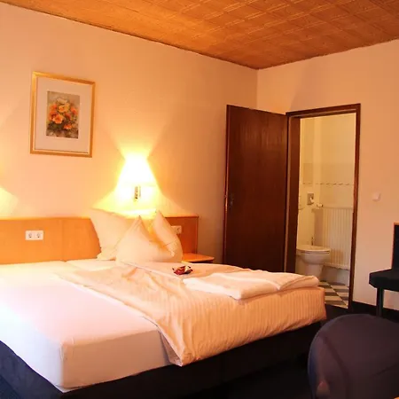 Hotel Klinger 3*